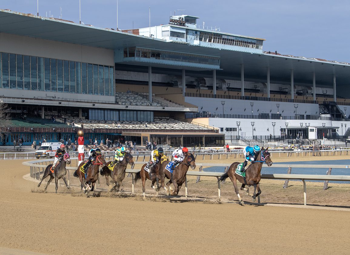 aqueduct racetrack live racing