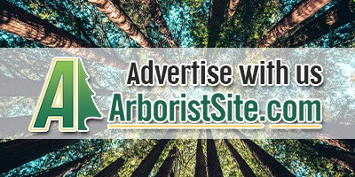 arboristsite