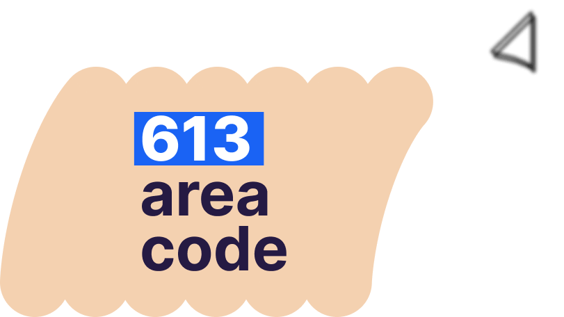 area code 613 text scams