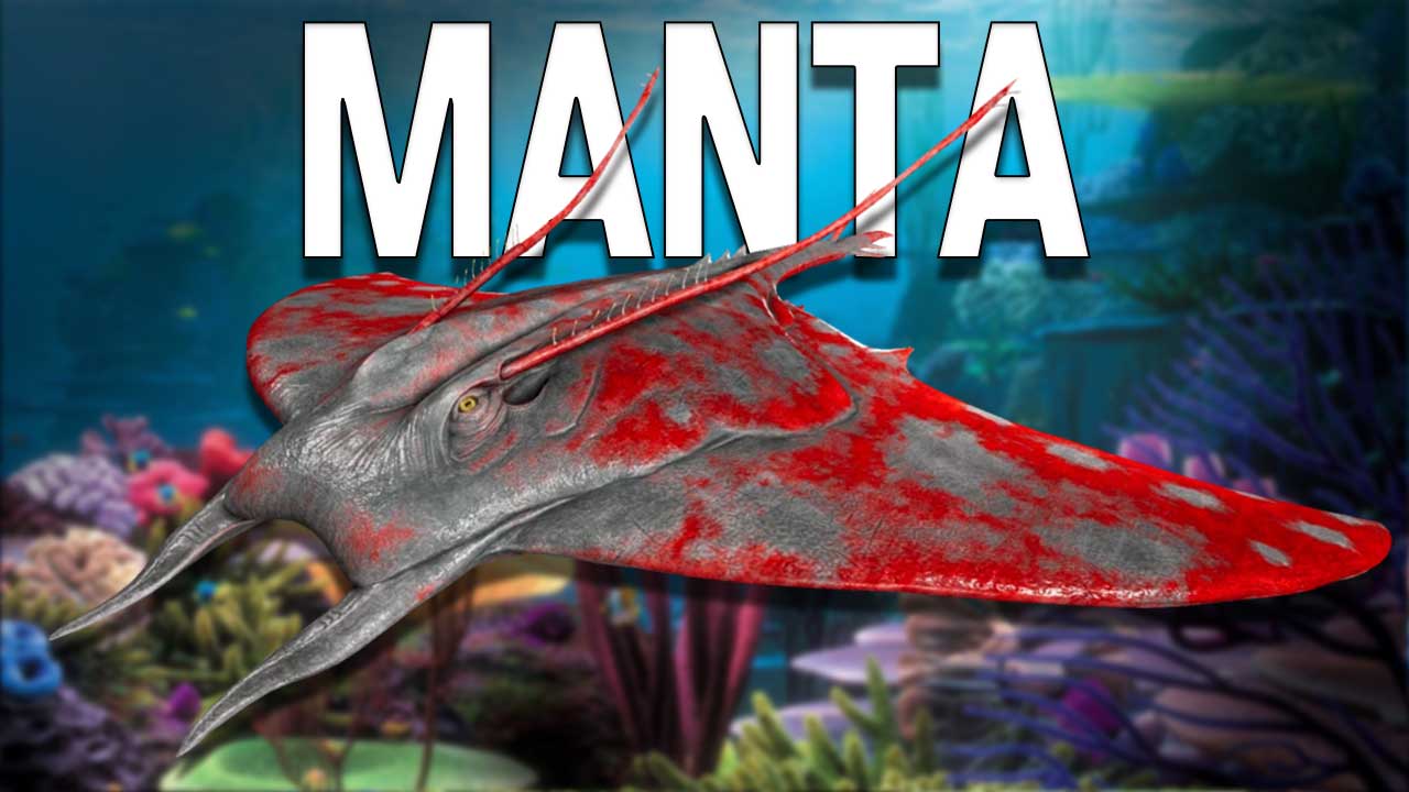 ark mantas