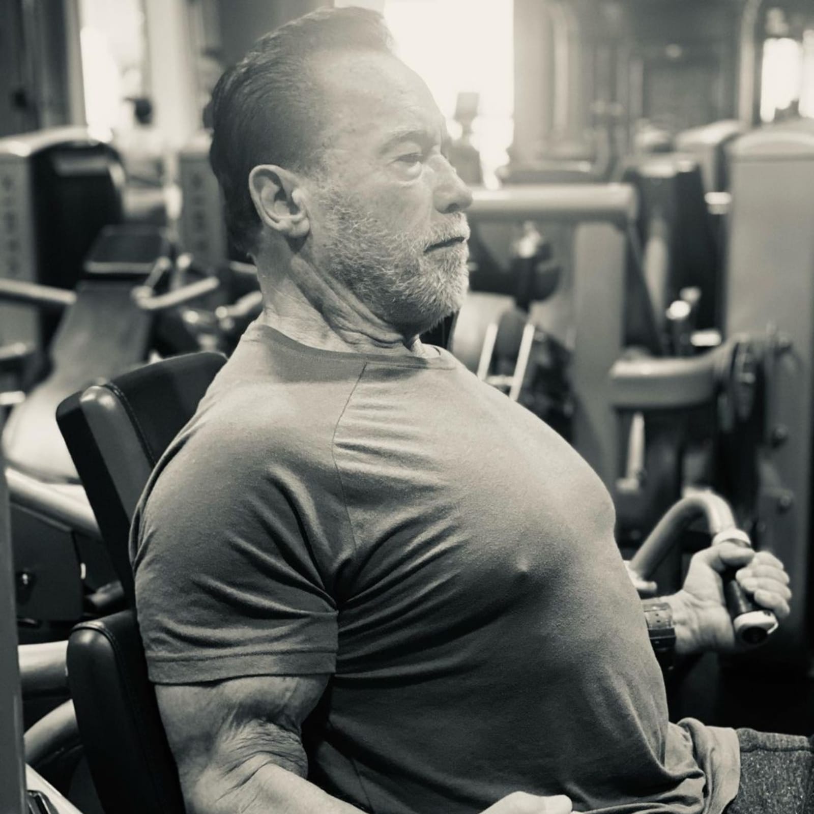 arnold schwarzenegger ig