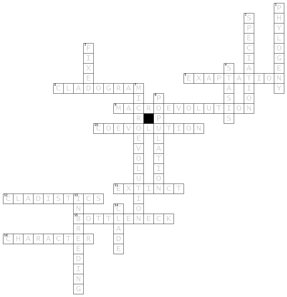 augments crossword