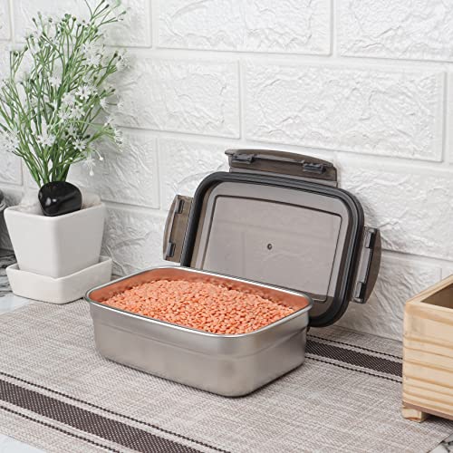 auto heat lunch box