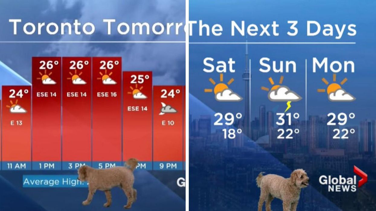 rain forecast toronto