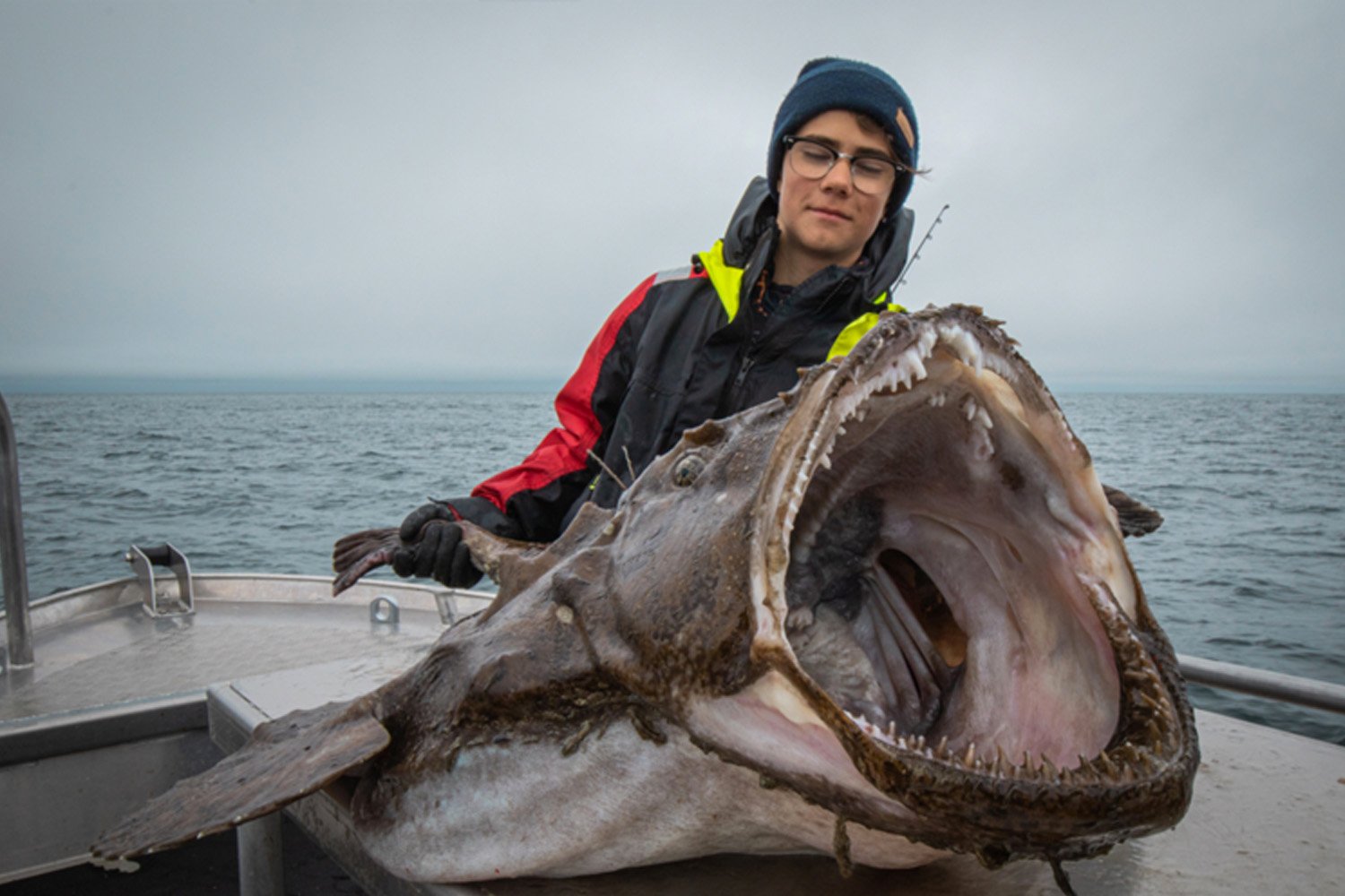 monkfish pics