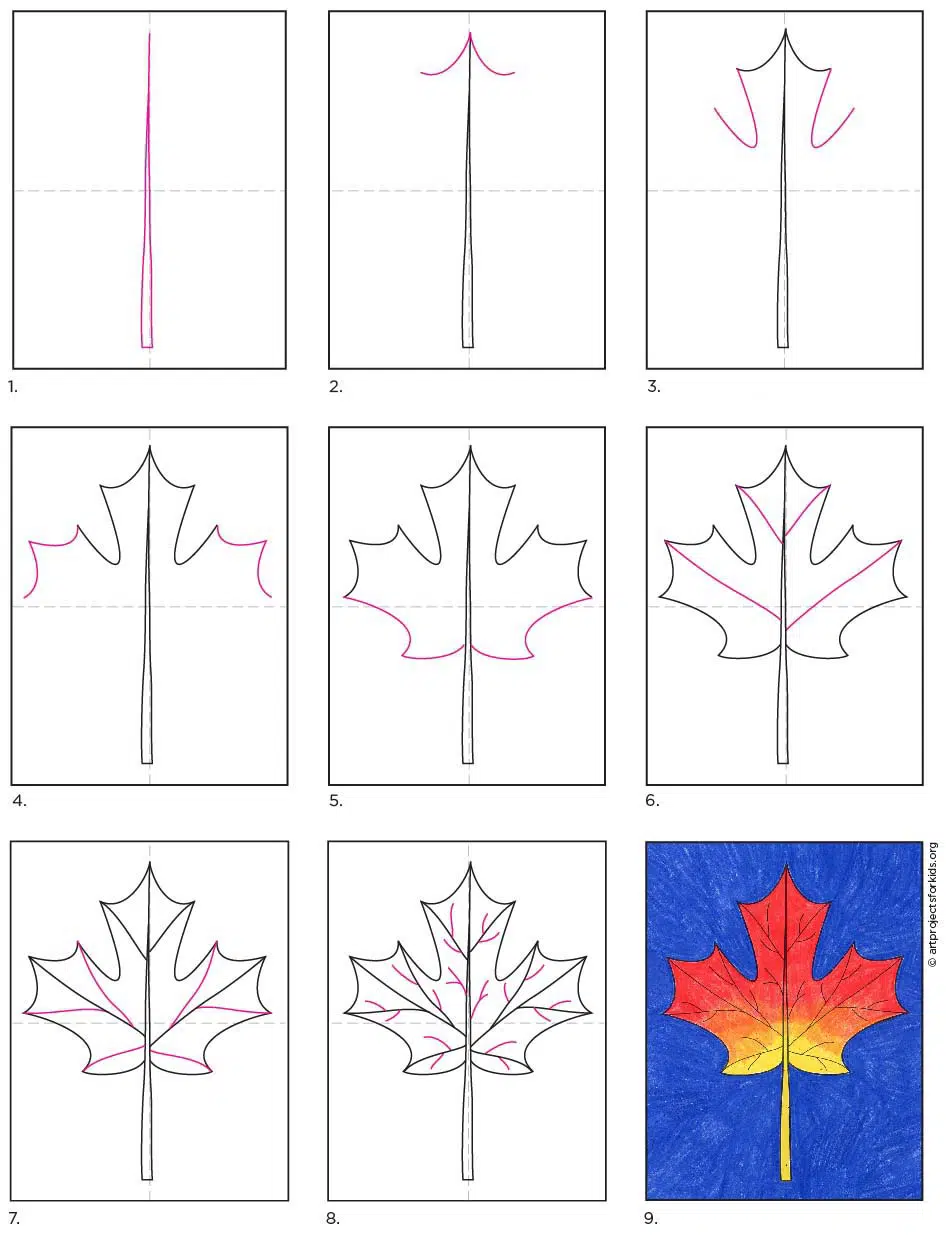 draw a maple leaf