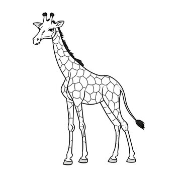 giraffe outline