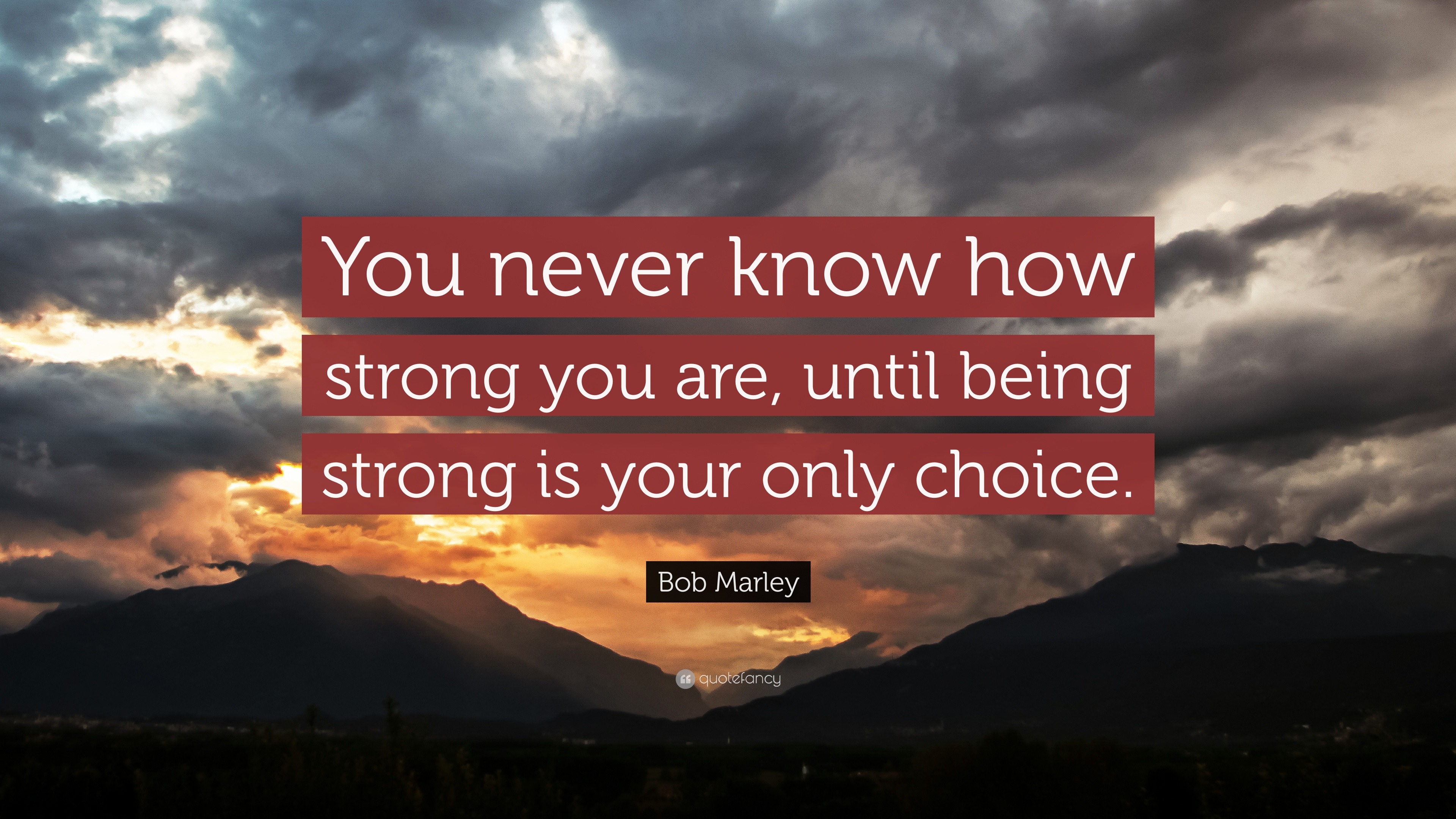 you never know how strong you are