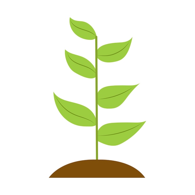 seedling clipart