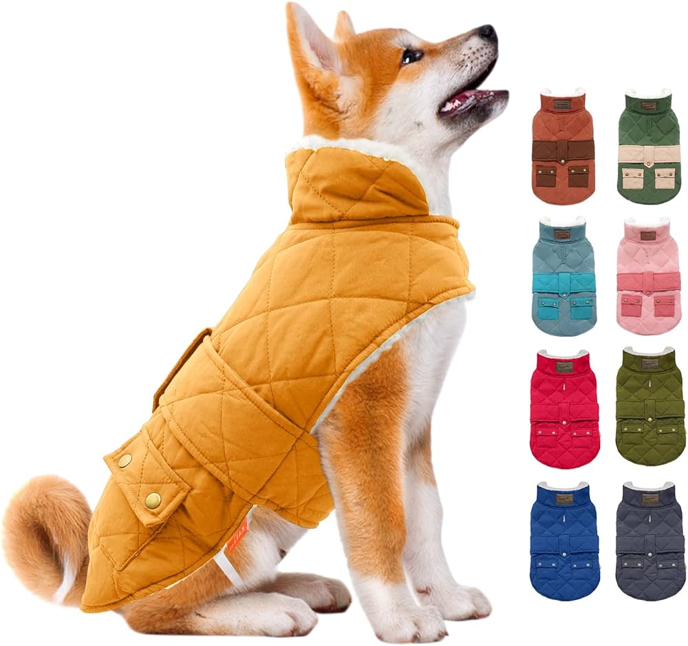 amazon dog coats