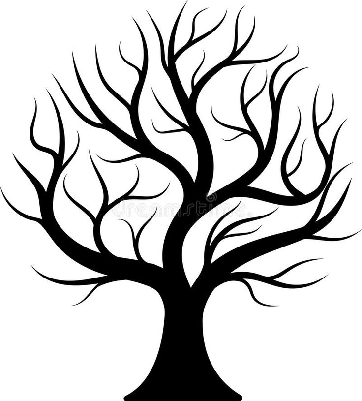 bare tree silhouette