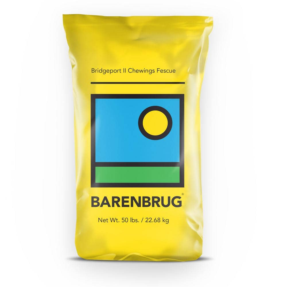 barenburg seeds