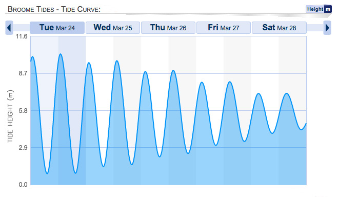 bay of fundy tide chart