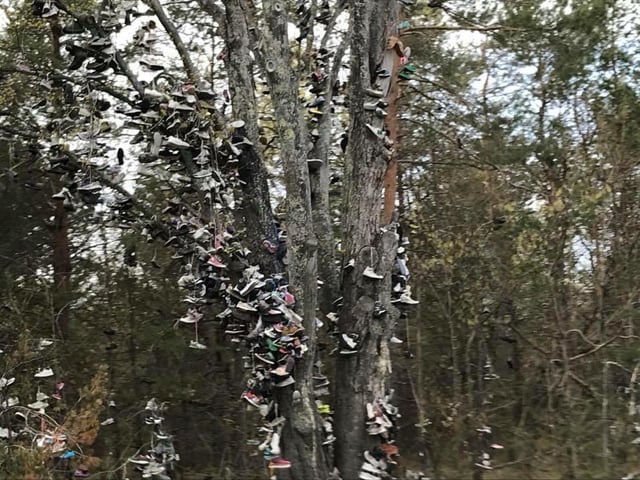 shoe tree kalkaska