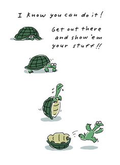 funny turtle quotes