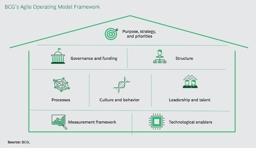 bcg public sector