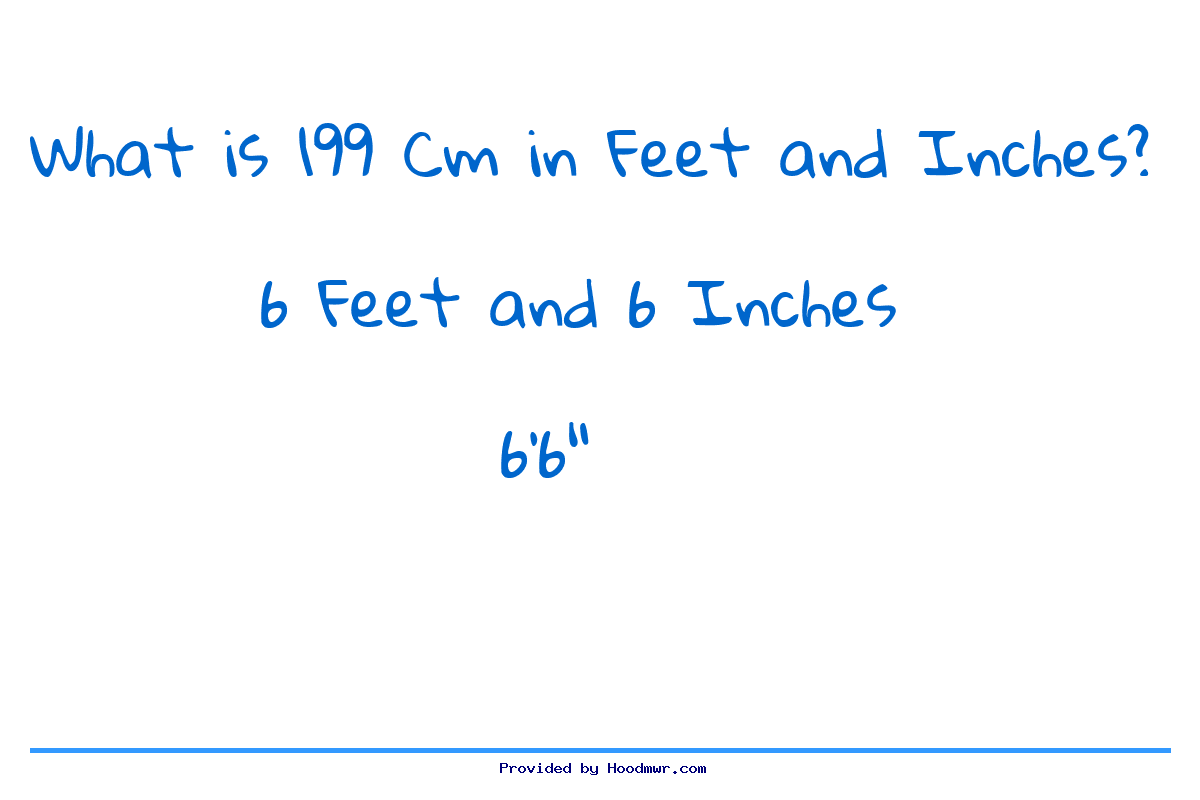 199cm to feet