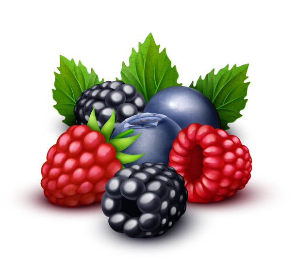 berries clipart