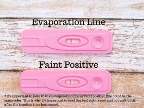 what is an evap line on pregnancy test