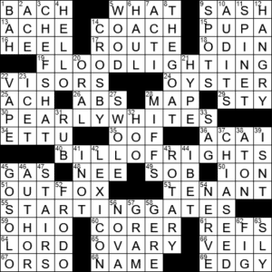 blamed crossword clue