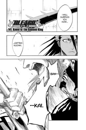 bleach 141