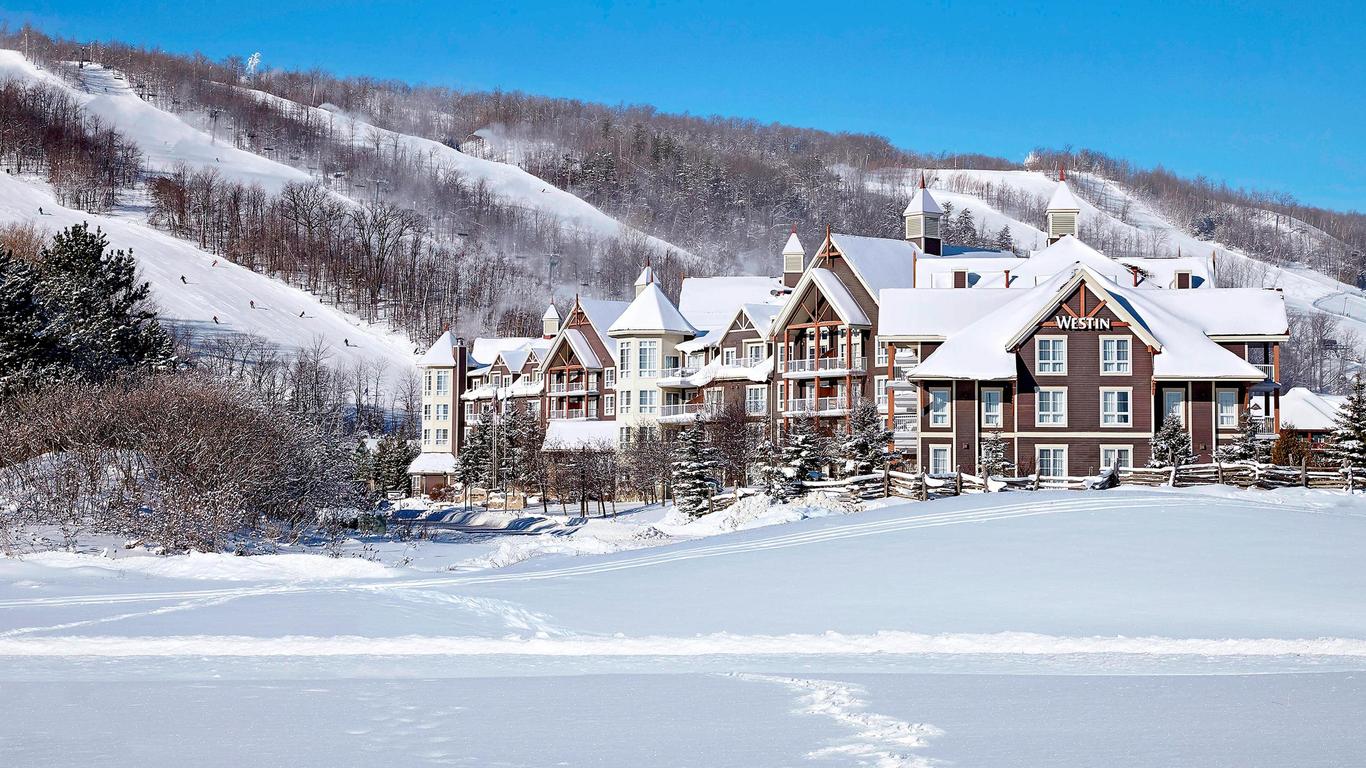 blue mountain resort gst number