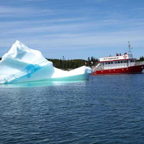 boat tours twillingate