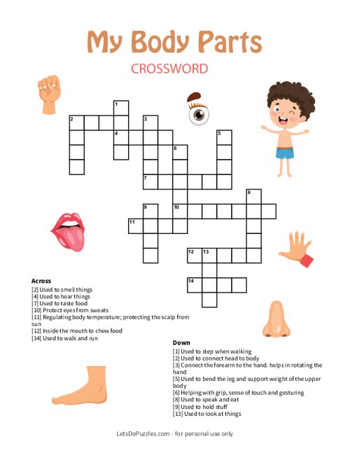 body parts crossword