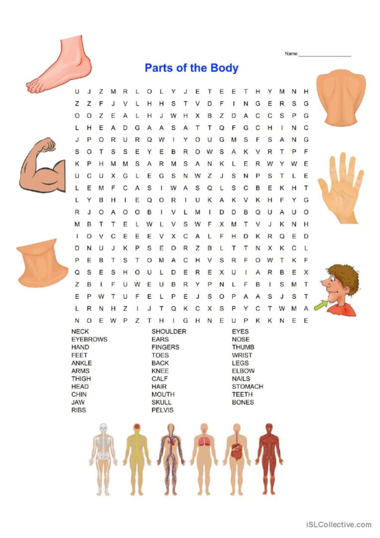 body parts word search