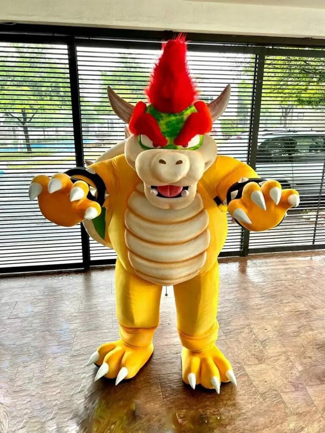 bowser custome