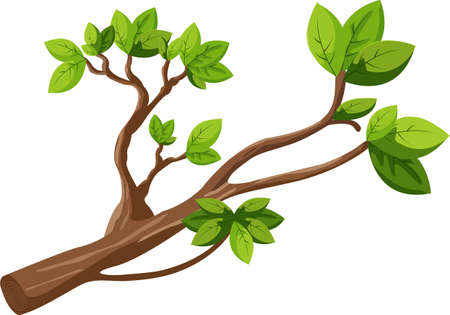 branch clipart