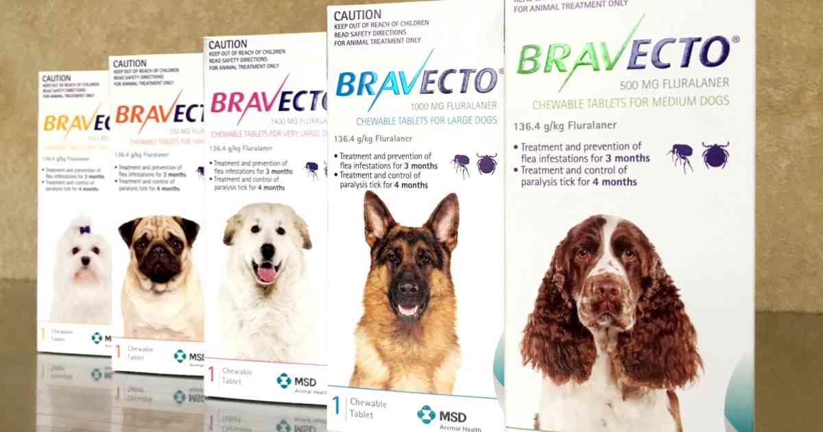 bravecto side effects