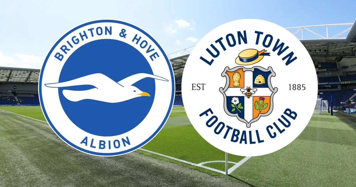 brighton & hove albion f.c. vs luton town timeline