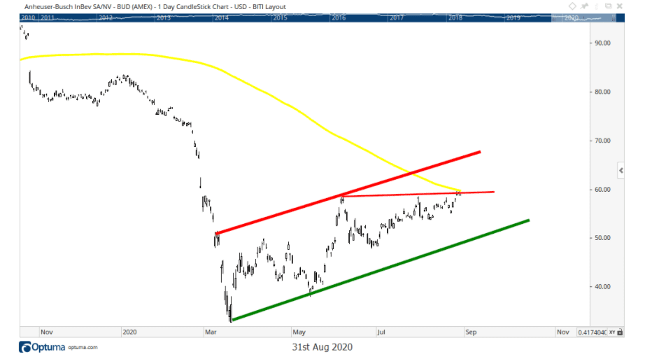 budweiser share price