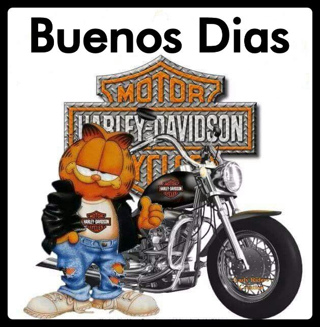 buenos dias harley davidson