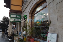 bursa işkembeci