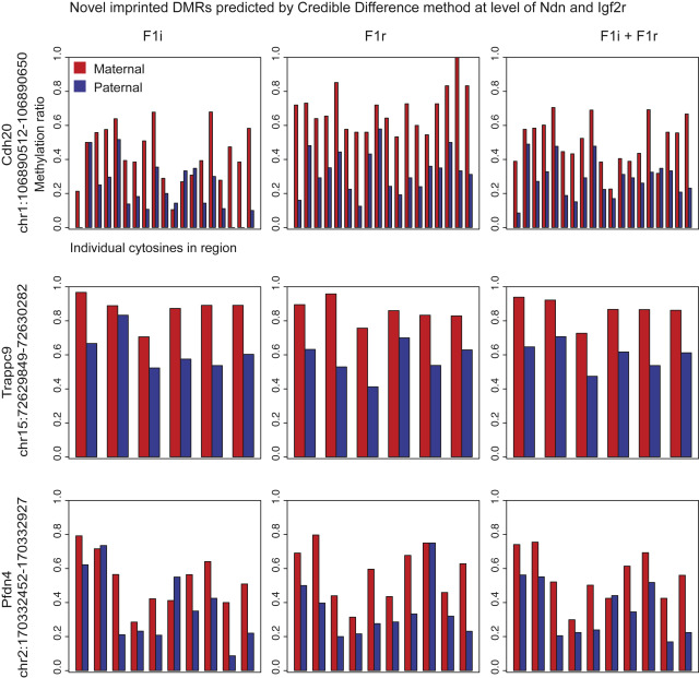 differentially methylated regions