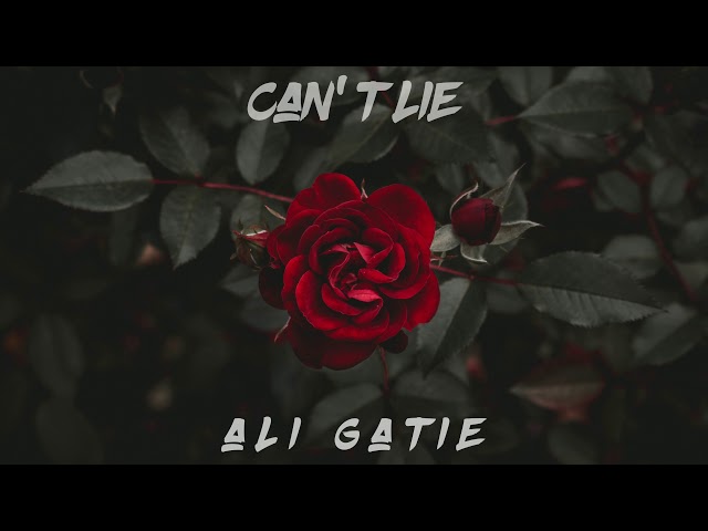 can t lie ali gatie mp3 free download