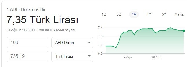 çeviri dolar tl