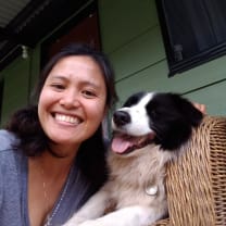 pet sitter cairns