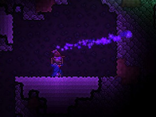 terraria tim