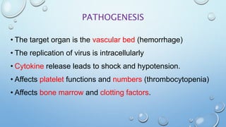 viral hemorrhagic fever ppt