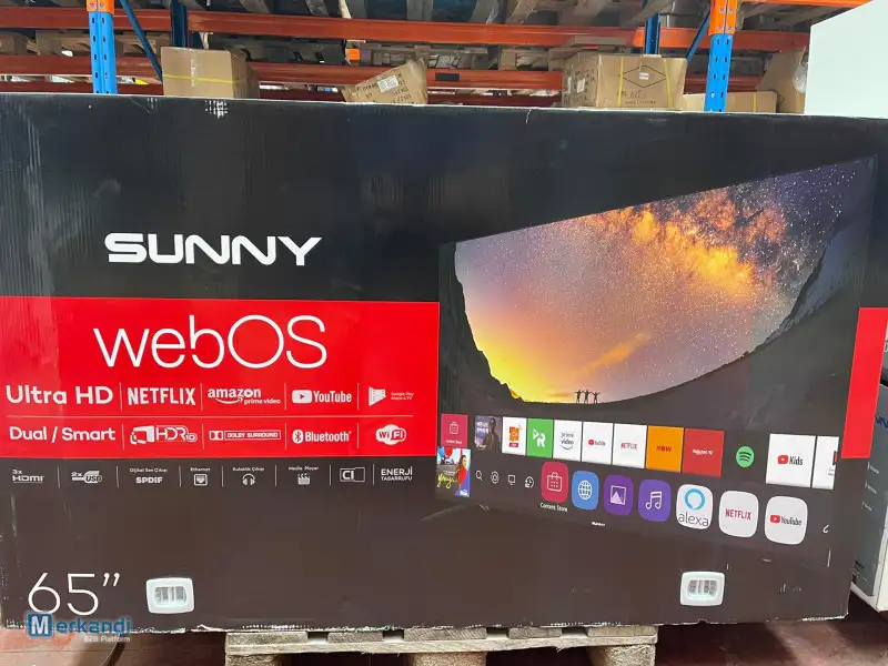 sunny smart tv netflix