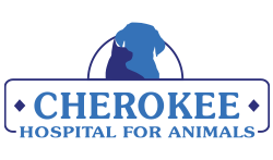 cherokee animal clinic