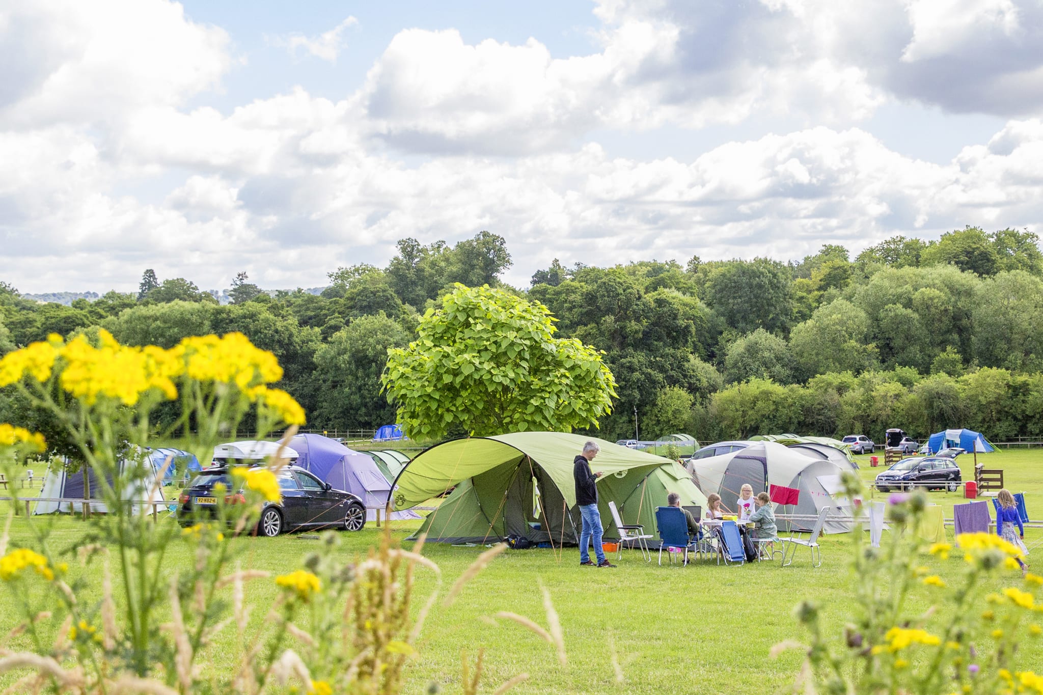 campsites near henley