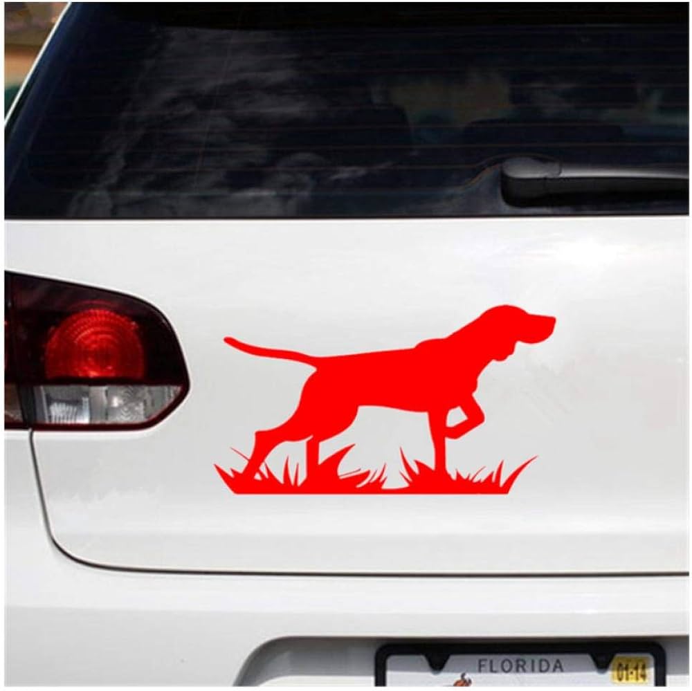 car bumper stickers amazon