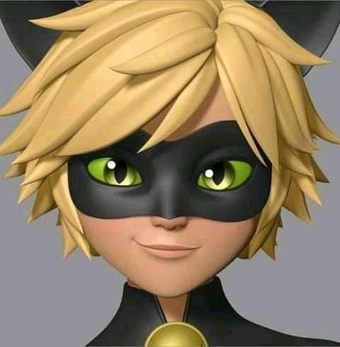 cara cat noir