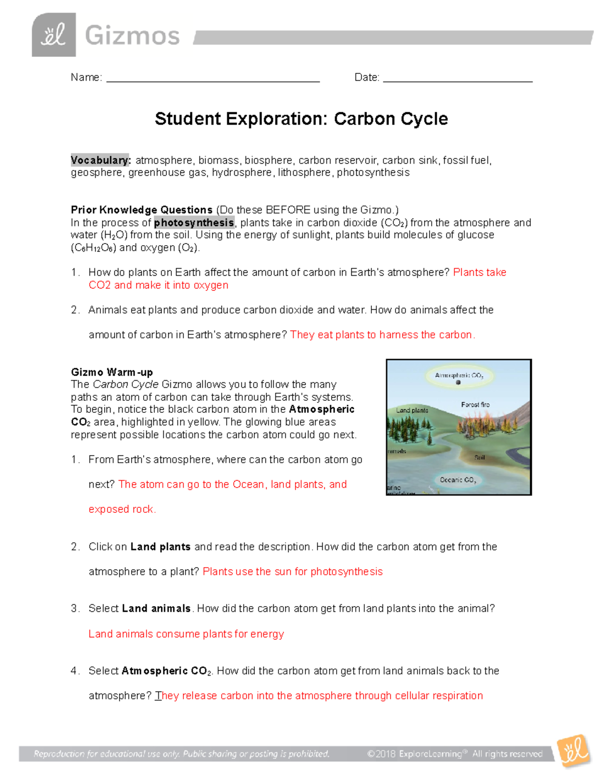 carbon cycle gizmo answers