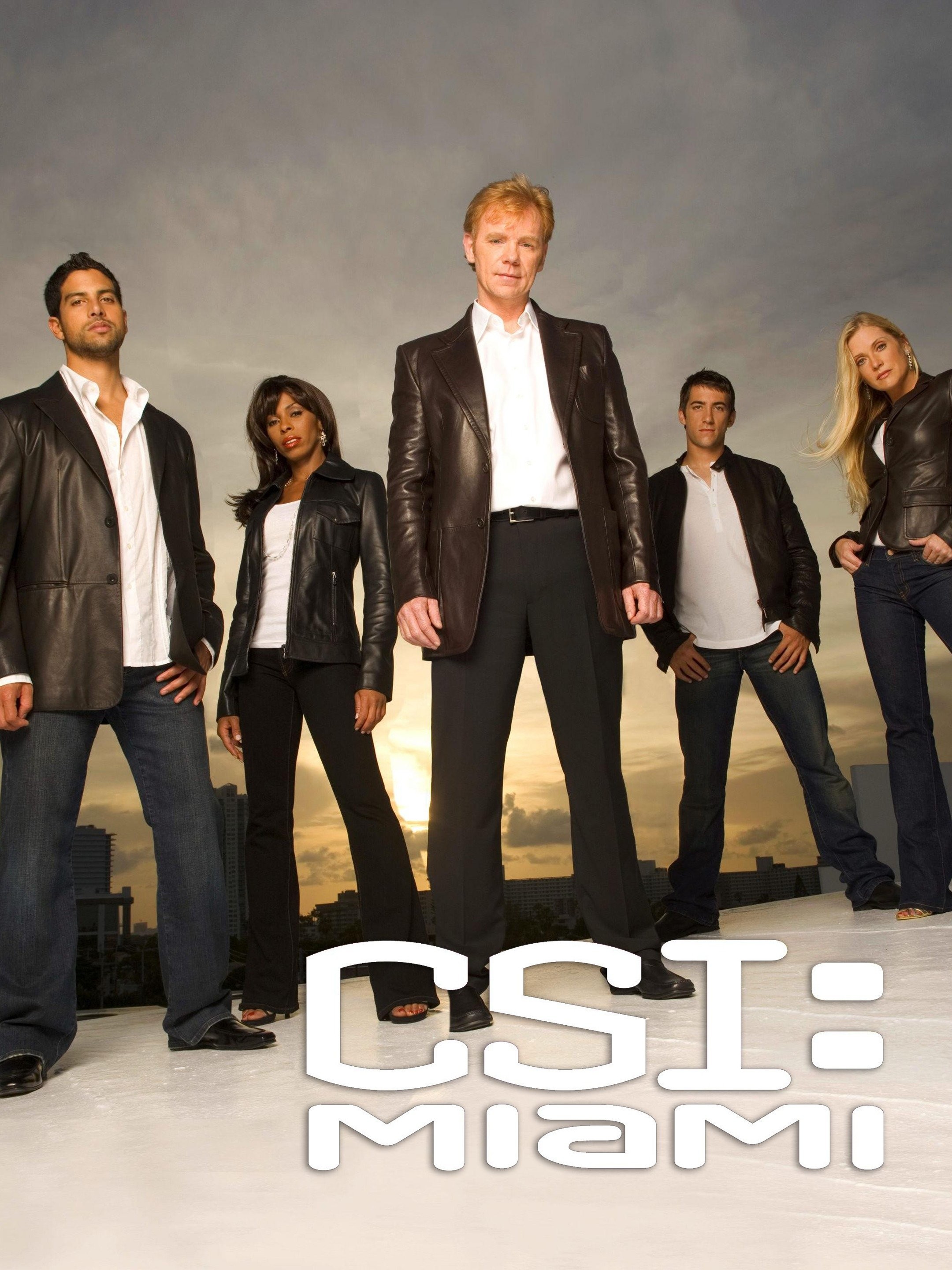 cast of csi miami