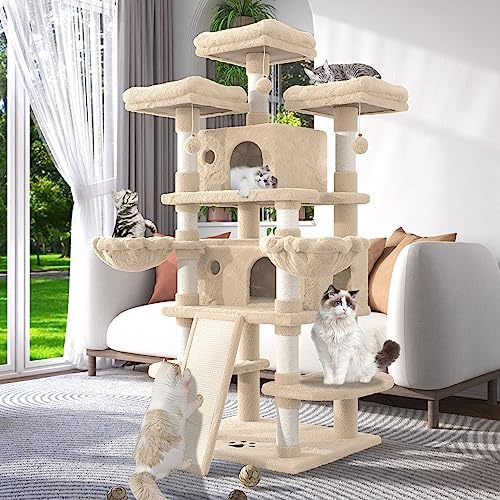 cat condo large